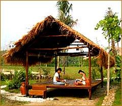 Langkawi Lagoon Resort 