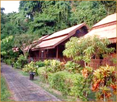 Kapas Island Resort
